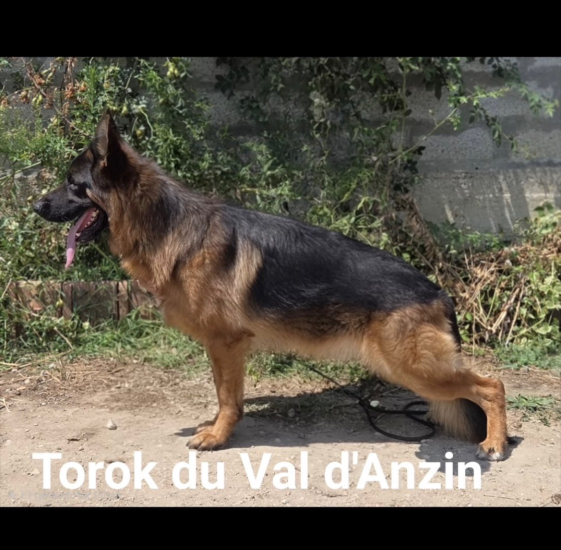 Torok val d anzin